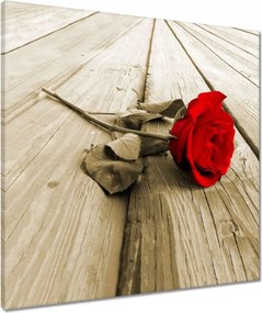 Vászonkép 60x60 Vörös rózsa a deszkákon