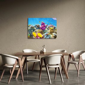 Kép - A tenger világa (70x50 cm)