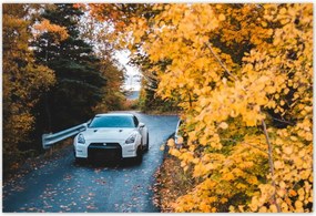 Poszterek 200x135 Autó-Motor Autók