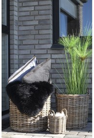 Caor kosarak, kubu rattan, natúr 4 db