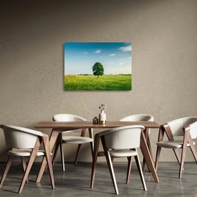 Egy fa képe egy rét közepén (üvegen) (70x50 cm)