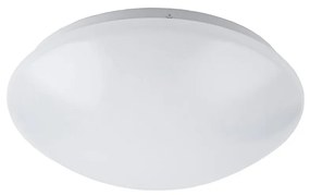 Rabalux 3439 - LED Fürdőszobai mennyezeti lámpa LUCAS LED/24W/230V