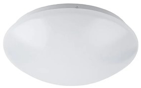 Rabalux Rabalux 3439 - LED fürdőszobai mennyezeti lámpa LUCAS LED/24W/230V RL3439