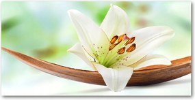 Fotó vászonkép edzett üveg Liliom 140x70