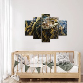 Kép - Piton (150x105 cm)