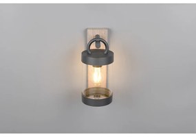 Fali kültéri lámpa (magasság 33 cm) Sambesi – Trio