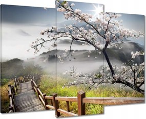 Vászonkép 90x70 Japán Virágzó cseresznye