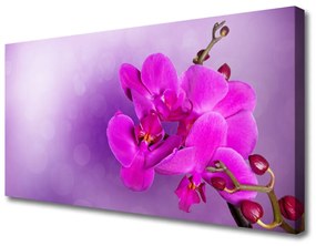 Vászonkép nyomtatás Orchid szirmok Virág 125x50 cm