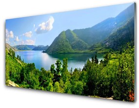 Üvegfotó Forest Lake hegyek táj 140x70 cm