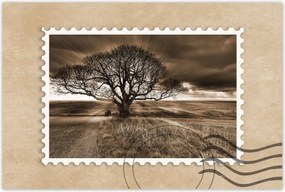 Poszterek 60x40 Tájkép varázslattal