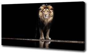 Vászonkép Portré egy oroszlán oc-118199528