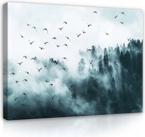Vászonkép 80x60 Köd erdő fák madarak nyugalom misztika természet csend