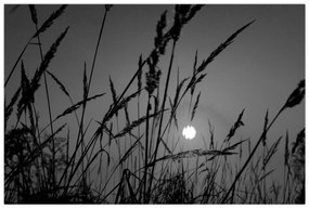 Kép - rét naplementével (90x60 cm)