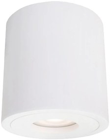 Light Prestige Faro XL mennyezeti lámpa 1x50 W fehér LP-6510/1SMXLWH