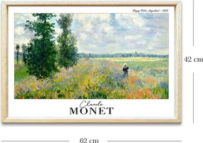 4262AHSMONET-021