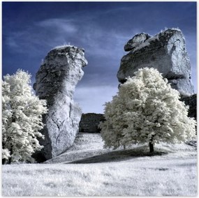 Poszterek 30x30 Tájkép Infravörös fotó