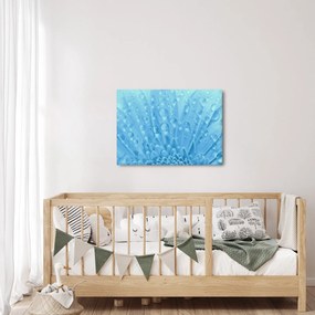 Kép - Makro felvétel egy virágról (70x50 cm)