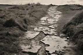 Poszter 30x20cm Memóriaút a dűnék között