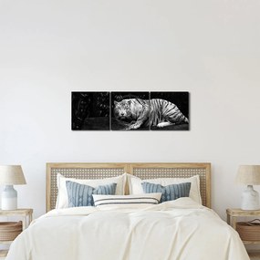 Kép - albínó tigris, fekete-fehér (órával) (90x30 cm)