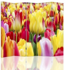 Gario Paraván Többszínu tulipánok Méret: 180 x 170 cm, Kivitelezés: Klasszikus paraván