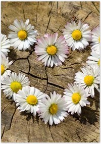 Poszterek 70x100 Kamilla szív