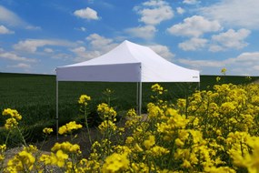 Alumínium esküvői sátor 3x6 m – elegáns és gyorsan felállítható - plusz 3 oldalfal - Fekete