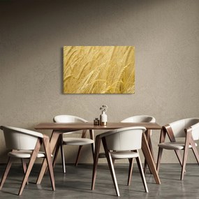 Kép - Árpa (90x60 cm)