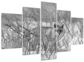 Kép - Róka, fekete, fehér (150x105 cm)