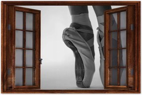 Poszterek 60x40 Balett balerina tánc