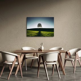 Természet kép - fa (70x50 cm)