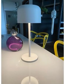 Immax 08497L - állítható fényű kültéri napelemes LED lámpa 4W, 3600mAh, IP44