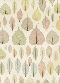 Poszter 20,5x28,4cm Csontváz levelek, Assaf Frank