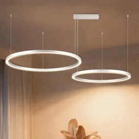 Brilagi - LED fényerőszabályozható kábeles csillár PORTOFINO LED/98W/230V ezüstszínű + távirányító