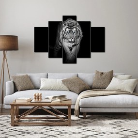 Kép - Tigris kék szemekkel (150x105 cm)