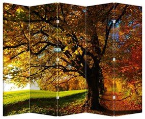Paraván -  őszi fa (210x170 cm)
