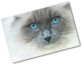 Üveg vágódeszka Cat kék szem pl-ko-80x52-f-41430581