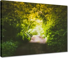 Vászonkép 40x30 Zöld levelek Levelek