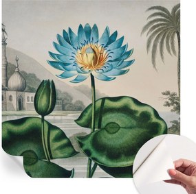 Dekoratív öntapadós tapéta Divatos minták Egzotikus táj 250x250