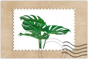 Poszter 60x40 Monstera Lyukas levelek