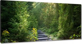 Festmények 115x55 Tájkép