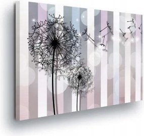 Vászonkép 80x60 Könnyűség Levegő Pitypangok Álom Nyugalom Bokeh Nyár Finomság