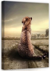 Vászonkép 50x70 Magány megfigyelés romok gepárd melankólia természet csend