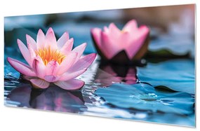 Wallplex konyhahátfal Pink Lotus (Méret: 60x180)