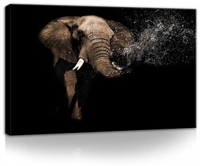 Elefánt, vászonkép, 60x40 cm méretben