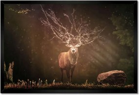 Poszter keretben 60x40 Szarvas felszarvazott