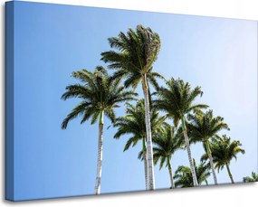 Vászonkép Természet Pálmafák Nap 90x60 cm