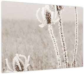 Kép - Gyűszű télen (70x50 cm)