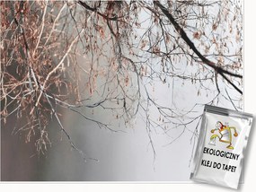 Fotótapéta Ágak Beton Szürke Természet Falra Hálószoba Nappali 150x105