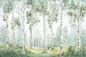 Fotótapéta Flizelina Tájkép Zöld Erdő Park Nyírfák 416x290 ragasztó