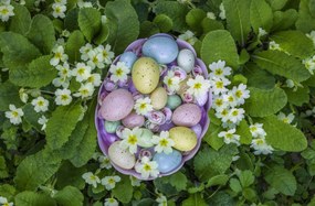 Poszter 91,5x60cm Húsvéti tojások kosárban 3, Assaf Frank